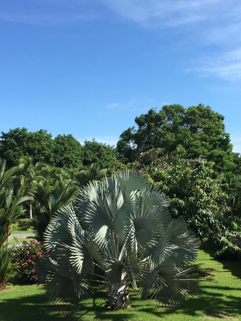 Hotel Los Higuerones Paso Canoas Ngoại thất bức ảnh